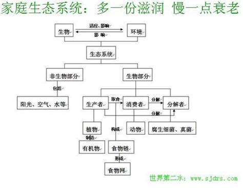 家庭生態圖是什麼|建構生態圖 (總結 (每遇到一個新的家庭須以了解家庭。